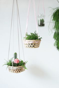 two hanging planters with plants in them, one is pink and the other is green