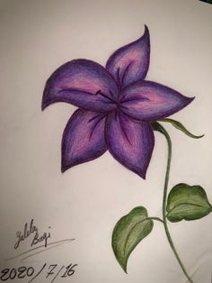 a drawing of a purple flower with green leaves on the side and bottom part of it