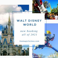 the walt world is now looking all of 2012