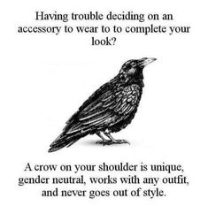 a black bird sitting on top of a white background with the words having trouble deciding an accessory to wear to complete your look?