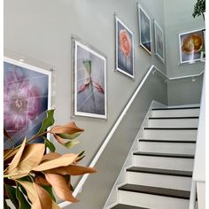 some pictures are hanging on the wall next to a stair case with flowers in it