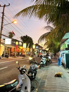 motor scooters parked on the side of a street next to buildings and palm trees