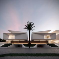 an architecturally designed house with palm tree in front of it at dusk or dawn