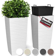 two tall white vases with plants in them