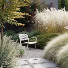 Grassy Garden, Moderne Have, Coastal Gardens, Grasses Garden, Cozy Seating, Mediterranean Garden