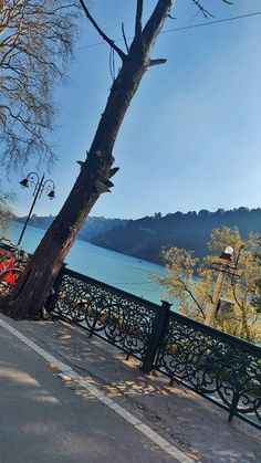 a bench on the side of a road next to a tree and some water with mountains in the background