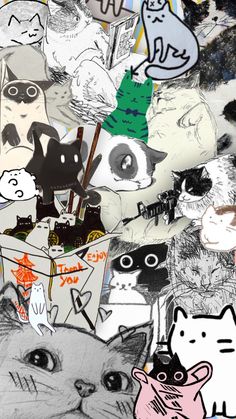 a collage of cats and kittens in various colors, sizes and shapes with words written on them