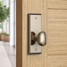 a door handle on a wooden door with a potted plant in the back ground