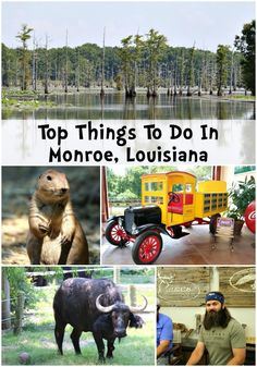 the top things to do in monroe, louisiana with pictures of animals and people around it