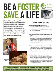 the flyer for an animal sanctuary is shown