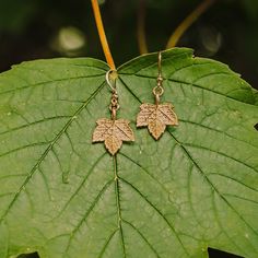 Introducing an exquisite set featuring a sycamore maple leaf designed in my studio, crafted from 925 sterling silver. The fidelity to detail and symbolism will capture the heart of any nature lover. This grand botanical set was designed to faithfully reproduce the details of real sycamore maple leaves, including the shape, leaf edge, and venation. It is a tribute to those who appreciate the beauty of botanical details. The back of the leaf is smooth. I designed the leaves from a sketch on paper Hypoallergenic Leaf-shaped Nature-inspired Jewelry, Nature-inspired Leaf Jewelry For Everyday, Everyday Nature-inspired Leaf Jewelry, Sycamore Leaf, Botanical Beauty, Leaf Jewelry, Maple Leaves, Leaf Necklace, Necklace And Earrings