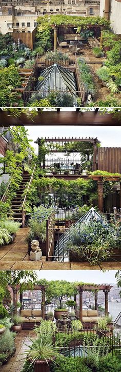 two pictures of the inside of a building with plants growing on it and in between