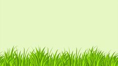 the grass is green and ready to be used as a background for an advertisement or presentation