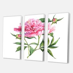 three pink flowers with green leaves on white background