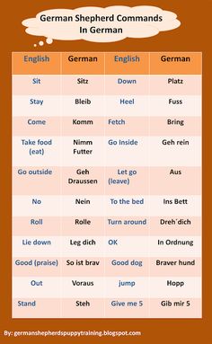 german shepherd commands in german and english with pictures on the front, including an orange background