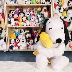 a large stuffed dog sitting on top of a white rug next to shelves filled with stuffed animals