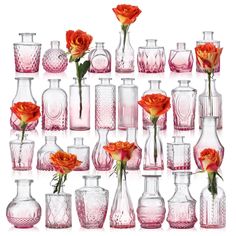 many different vases with flowers in them on a white background and one is red