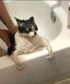 a black and white cat sitting in a bathtub next to someone's feet