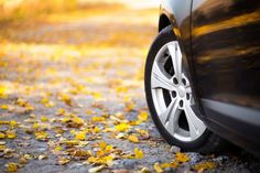 a car parked on the side of a road with leaves all over it's ground