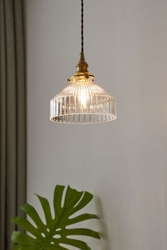 a light hanging over a table next to a plant