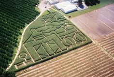 an aerial view of a large corn maze in the middle of a field with trees