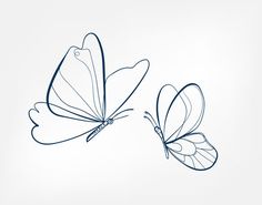 two butterflies flying side by side on a white background with blue lines in the foreground