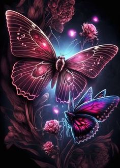 two butterflies on a flower with blue and pink light coming from behind the butterfly's wings