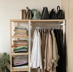 an organized closet with clothes and handbags hanging on the rack, along with a potted plant