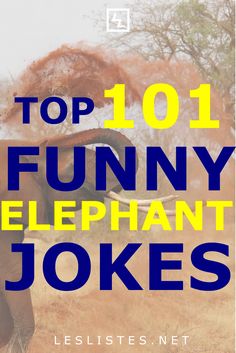 an elephant with the words top 10 funny elephant jokes