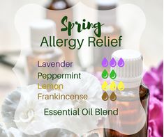 essential oils for seasonal allergy relief Spring Allergy Relief, Seasonal Allergy Relief, Essential Oils For Pain