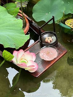 there is a potted plant in the water with two plates on it and some flowers