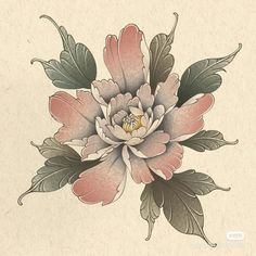 a drawing of a pink flower with green leaves on the bottom and center, in an old - fashioned style