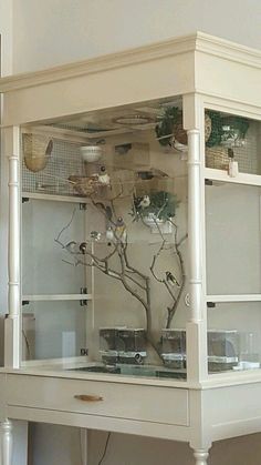 a glass case with birds in it on top of a table next to a wall