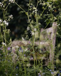 an old wooden chair sitting in the middle of some tall grass and wildflowers