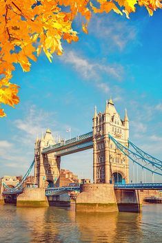 the tower bridge over the water is surrounded by autumn leaves