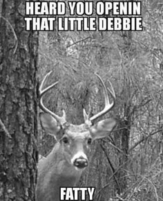 a deer standing next to a tree with the caption heard you openin that little debie