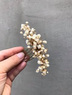 Wedding flower hair comb - natural style. The flower comb is made of preserved baby's breath. In off white (natural) colour. Perfect for wedding, other events :) You can purchase a wreath -29 euros One hair pin costs 6 euros Hair comb - 21 euros SET of 6 hair pins and a comb - DISCOUNTED PRICE 53 euros (4 euros off)QQ When stored in dry and dark place, our products last 10-15 years. We can also make you other matching accessories. Please message me for more information. :) All the items in my sh Wedding Flower Comb, Off White Wedding, Hair Wreaths, Flower Comb, Headpiece Hairstyles, Bridal Hair Flowers, Flower Hair Comb, Bridal Comb, Wedding Hair Clips