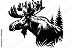 an moose with large antlers and pine trees in the background, on a white background