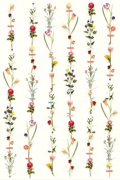 Flower Garland Wall Mural by Eijffinger for Brewster Home Fashions Modern Mural Flower, Colorful Mural Wall Flower, Renter Friendly Flower Wall, Floating Flowers Hanging, Flower Garlands Wall, Home Made Flower Wall, Fried Flower Wall, Flower Garland Bedroom Window, Wedding Hanging Flower Backdrop