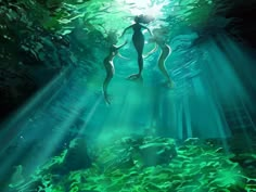 two people are swimming in the ocean with green algaes and sunlight shining down on them