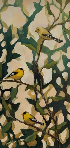 two yellow birds sitting on top of a tree branch