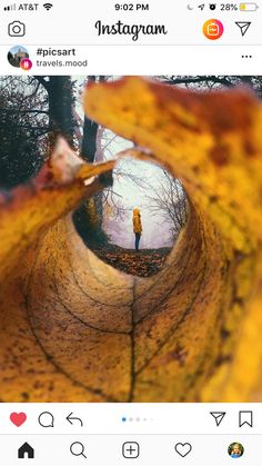 an instagram photo taken from the bottom of a leaf with someone standing in it