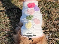 a small dog wearing a sweater with crochet flowers on it's back