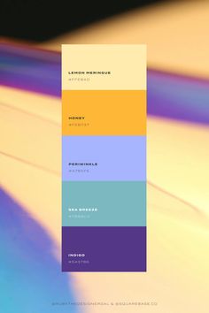 Fresh, Bright and Cool Colour Palette for your Brand or Squarespace Website Great Color Palettes, Complementary Colour Palette, Colour Palette Vibrant, Wellness Color Palette Inspiration, Five Color Palette, Bright Bold Color Palette, Fresh Colour Palette, Energy Color Palette, May Color Palette