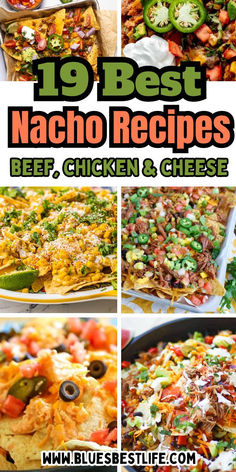 A collection of nacho recipes. Chicken Cheese Sauce, Best Nacho Recipe, Nachos Recipes, Nacho Recipes, Nachos Recipe Beef, Nachos Recipe Easy, Recipes Beef, Mexican Cooking, Tailgate Food