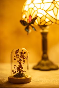 a glass dome sitting on top of a table next to a lamp