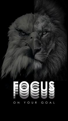 Motivational Wallpaper Dark Lion Wallpaper, Eagle Motivation, Focus Wallpaper, Lion Motivation, Fly Like An Eagle, Car Animation, Fitness Wallpaper, Lion Quotes, Positive Quotes Wallpaper