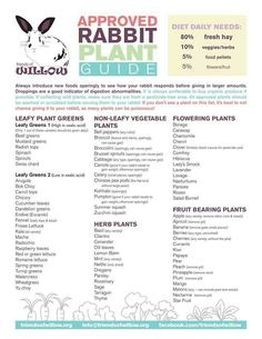 Plant- Veggie guide: rabbit approved Flemish Giant Rabbit, Rabbit Diet, Rabbit Treats, Rabbit Ideas