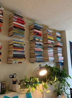 there is a lamp that is next to some books on the wall