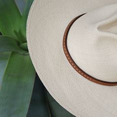 Easy, breezy, and beautiful. The Kelton is part of our Capsule Collection, which includes our most versatile, easy-to-wear, and trend resistant designs. Personalize the Kelton Panama hat with either dark chocolate or tan leather. The organic and natural fiber of the sustainably sourced toquilla straw make this hat a breathable, lightweight, and comfortable option for the summertime heat. #fedorahat #strawhat #Panamahat #ethicalhat #sustainablehat Brown Leather Fedora, Brown Woven Toquilla Straw Panama Hat, Brown Woven Toquilla Straw Fedora, Beige Curved Brim Panama Hat For Everyday, Artisan Brown Flat Brim Panama Hat, Brown Toquilla Straw Fedora, Handwoven Natural Hat Band With Flat Brim, Artisan Brown Panama Hat With Flat Brim, Brown Straw Panama Hat With Curved Brim